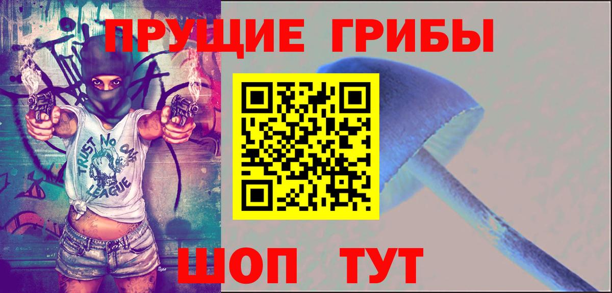 Галлюциногенные грибы GOLDEN TEACHER  Галлюциногенные грибы GOLDEN TEACHER  Вход с VPN  Троицк 