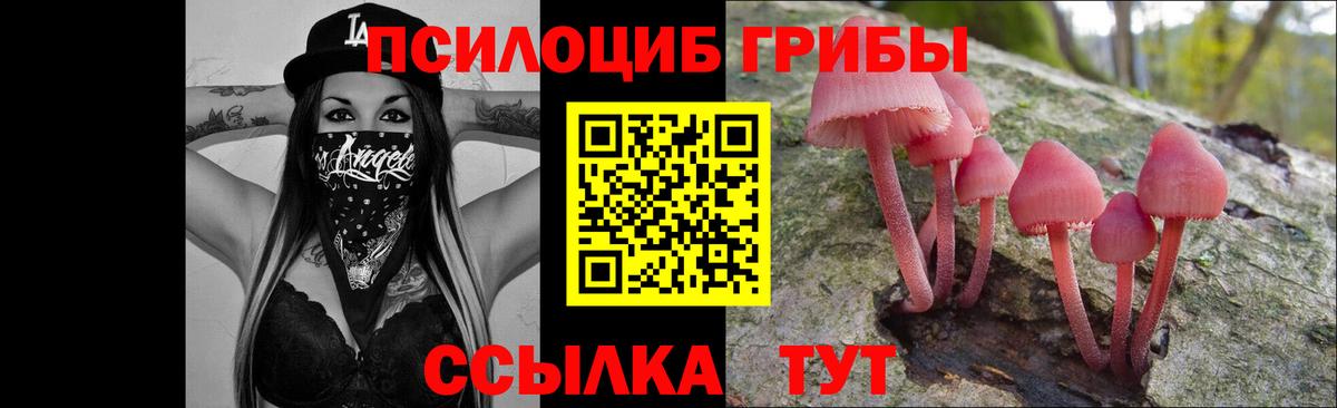Галлюциногенные грибы прущие грибы Троицк